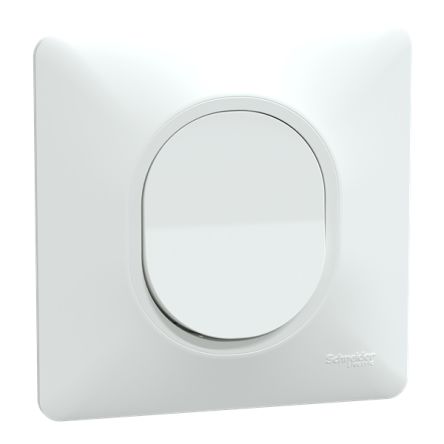 Schneider Electric Ovalis Series Push Button, NO, Flush Mount, 250V, IP21D [S321206]; 358-401