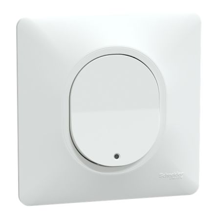Schneider Electric Ovalis Series Push Button, NO, Flush Mount, 250V, IP21D [S321276]; 358-402