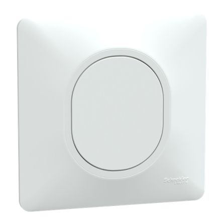 Schneider Electric Ovalis Series Push Button, Flush Mount, IP21D [S321666]; 358-404