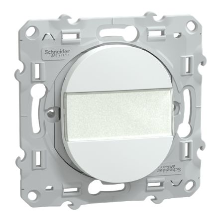 Schneider Electric Ovalis Series Push Button Switch, Push to Make, Flush Mount, 250V, IP21D [S320266]; 429-083