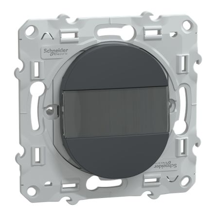 Schneider Electric Anthracite Rocker Switch Grid Module 10A, Ovalis Series [S340266]; 429-288