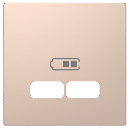 Schneider Electric White 2 Gang Cover Plate [MTN4367-6051]; 429-323