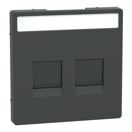Schneider Electric Anthracite 2 Gang Cover Plate [MTN4564-6034]; 429-324