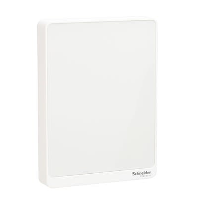 Schneider Electric SLPWXX2 Air Quality Monitor for Air Quality, Humidity, Temperature, +50°C Max, 100%RH Max, AC [SLPWXX2]; 446-206