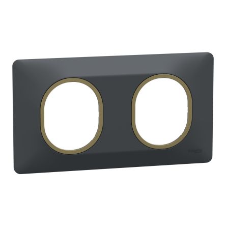 Schneider Electric Anthracite 2 Gang Light Switch Cover [S340704E]; 466-470