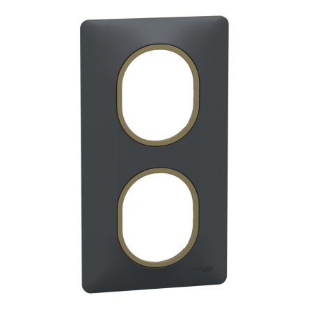 Schneider Electric Anthracite 2 Gang Light Switch Cover [S340724E]; 466-512