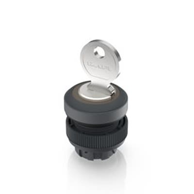 RAFI IP65 Key Switch 421-Way Tubular-Key [1.30.245.433/0100]; 523-649