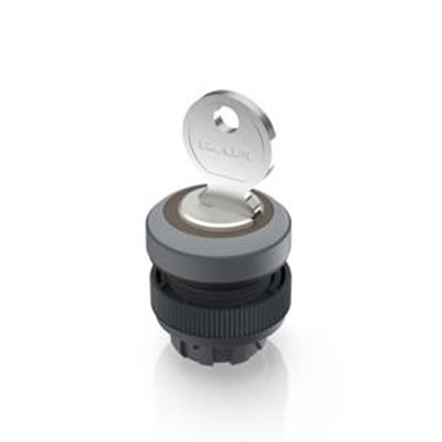 RAFI IP65 Key Switch 421-Way Tubular-Key [1.30.245.203/0800]; 523-658
