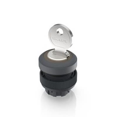 RAFI IP65 Key Switch 421-Way Tubular-Key [1.30.245.323/0700]; 523-765