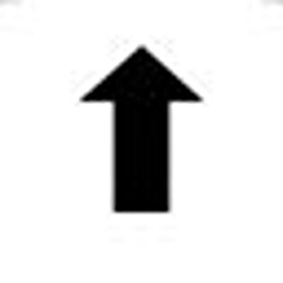 RAFI Labels for Use with Pushbutton And Lighting Indicator, Up Arrow [5.70.090.025/1001]; 523-824