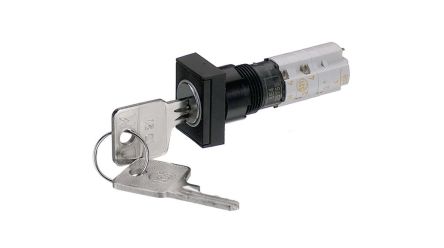 RAFI IP40 Key Switch 45-Way Tubular-Key [1.15.108.571/0100]; 523-945