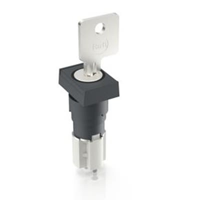 RAFI IP40 Key Switch 45-Way Tubular-Key [1.15.108.632/0100]; 523-949