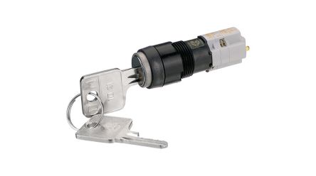 RAFI IP40 Key Switch 45-Way Tubular-Key [1.15.108.851/0000]; 523-951
