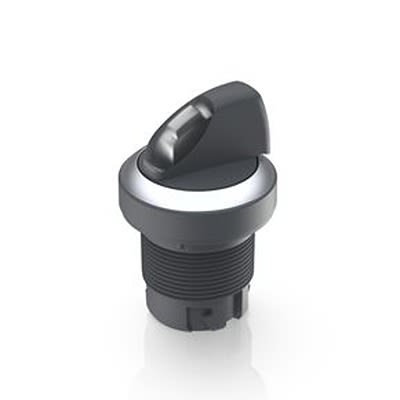 RAFI Selector Switch - 22.3mm Cutout Diameter, Illuminated 2 Positions [1.30.242.026/2208]; 523-961