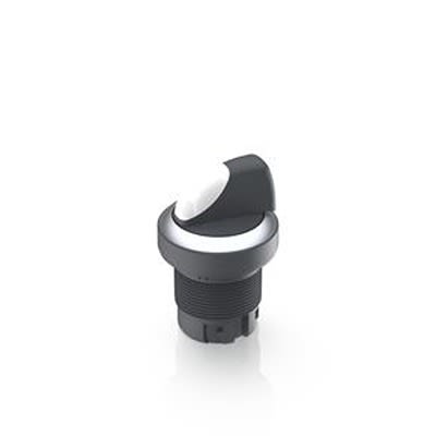 RAFI Selector Switch - 22.3mm Cutout Diameter, Illuminated 1 Positions [1.30.242.602/0200]; 523-971