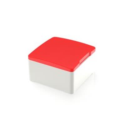 RAFI MICON 5 Series Plunger for Use with Switches [5.05.512.006/2300]; 524-096
