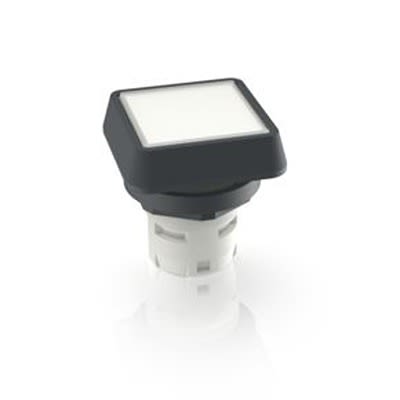 RAFI White Push Button LED for Use with Push Buttons [1.65.124.301/1002]; 524-125