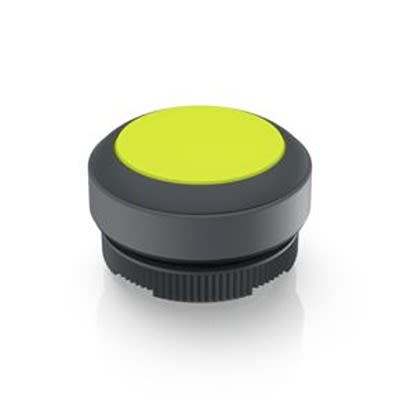 RAFI Push Button Bezel for Use with Illuminated Pushbutton [1.30.270.001/2401]; 524-140