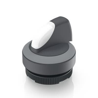 RAFI Selector Switch - 22.3mm Cutout Diameter, Illuminated 2 Positions [1.30.272.026/2208]; 524-204