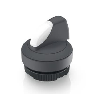 RAFI Selector Switch - 22.3mm Cutout Diameter, Illuminated 1 Positions [1.30.272.101/2207]; 524-217