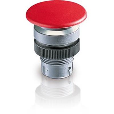 RAFI RAFIX 22 Series Illuminated Push Button Switch, Momentary, Through Hole, 22.3mm Cutout, 400V, IP65 [1.30.246.502/0100]; 524-541