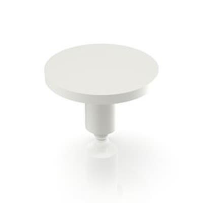 RAFI RACON Series Plunger for Use with Switches [5.46.167.059/0209]; 524-664