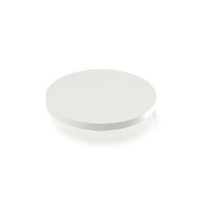 RAFI RACON Series Plunger for Use with Switches [5.46.168.060/0209]; 524-668