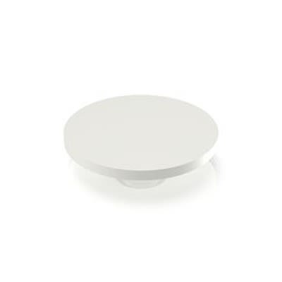 RAFI RACON Series Plunger for Use with Switches [5.46.168.067/0209]; 524-673