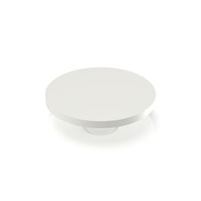 RAFI RACON Series Plunger for Use with Switches [5.46.168.064/0209]; 524-675