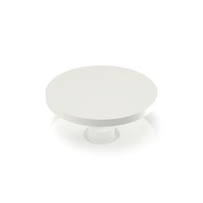RAFI RACON Series Plunger for Use with Switches [5.46.168.049/0209]; 524-678