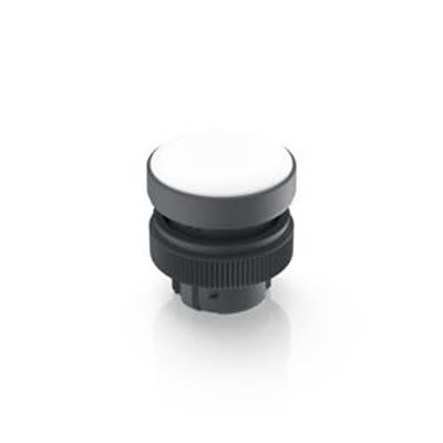 RAFI RAFIX 22 QR Series White Indicator, 22.3mm Mounting Hole Size, Threaded Ring Termination, IP65 [1.74.505.501/1000]; 524-683