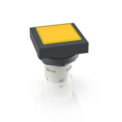 RAFI Push Button Switch for Use with Protective Cap [1.30.070.201/1403]; 524-800