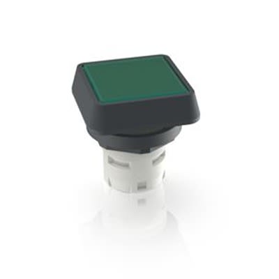 RAFI Push Button Switch for Use with Protective Cap [1.30.070.001/1505]; 524-805