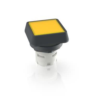 RAFI Push Button Switch for Use with Protective Cap [1.30.070.001/1403]; 524-811