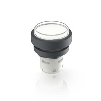 RAFI Push Button Switch for Use with Protective Cap [1.30.070.026/1002]; 524-820