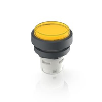 RAFI Push Button Switch for Use with Protective Cap [1.30.070.026/1403]; 524-823