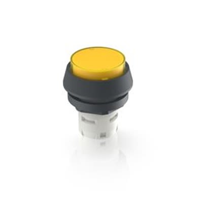 RAFI Pushbutton Actuator for Use with RAFIX 22 [1.30.070.071/1403]; 524-831