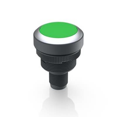 RAFI Push Button Switch for Use with Protective Cap [1.10.011.001/0550]; 524-844