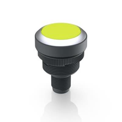 RAFI Push Button Switch for Use with Protective Cap [1.10.011.001/0440]; 524-851