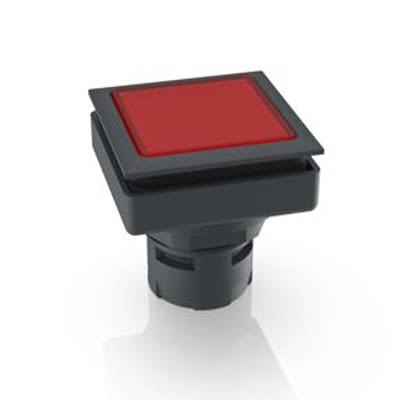 RAFI Push Button Bezel for Use with Illuminated Pushbutton [1.30.090.001/1300]; 524-977