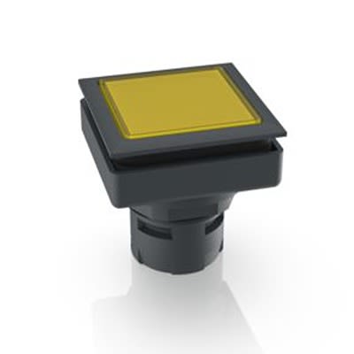 RAFI Push Button Bezel for Use with Illuminated Pushbutton [1.30.090.001/1400]; 524-983