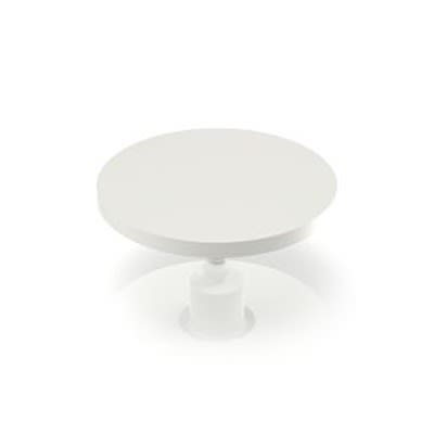 RAFI RACON Series Plunger for Use with Switches [5.46.168.043/0209]; 525-006