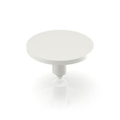 RAFI RACON Series Plunger for Use with Switches [5.46.168.159/1002]; 525-014