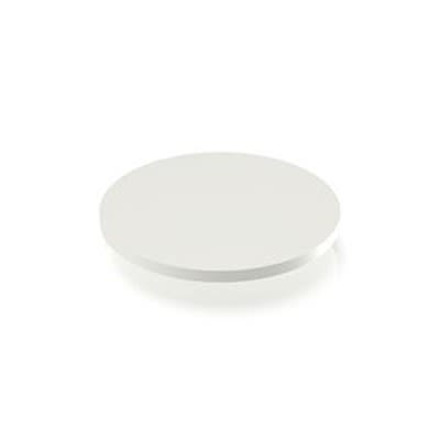 RAFI RACON Series Plunger for Use with Switches [5.46.169.067/0209]; 525-016