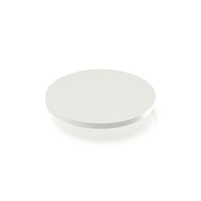 RAFI RACON Series Plunger for Use with Switches [5.46.169.064/0209]; 525-019