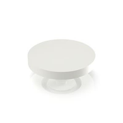 RAFI RACON Series Plunger for Use with Switches [5.46.167.102/0209]; 525-024