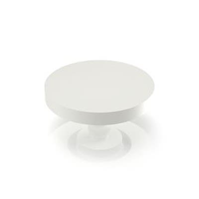RAFI RACON Series Plunger for Use with Switches [5.46.167.107/0209]; 525-030