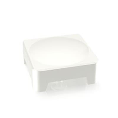 RAFI RACON Series Plunger for Use with Switches [5.46.001.057/0209]; 525-040