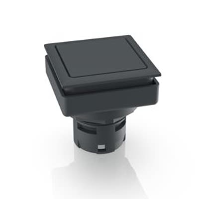 RAFI Blanking Caps, For Use With Installation In Mounting Holes In The Front Panel [5.05.800.063/0000]; 525-059