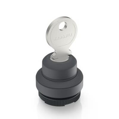 RAFI IP65 Key Switch 19-Way Tubular-Key [1.30.275.301/0700]; 525-143